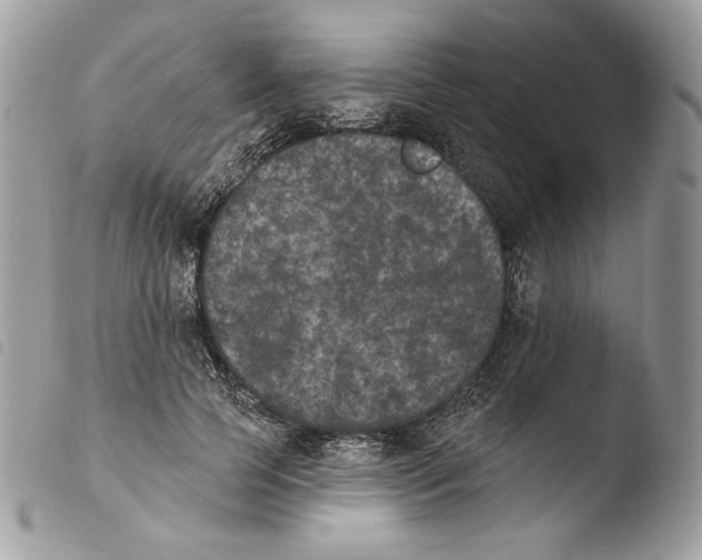 X0000103910745200810171705