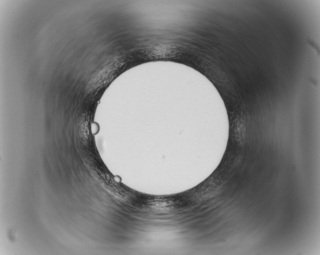 X0000103910746200810171705