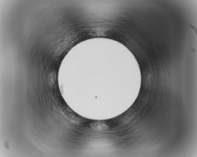X0000103910747200810171705