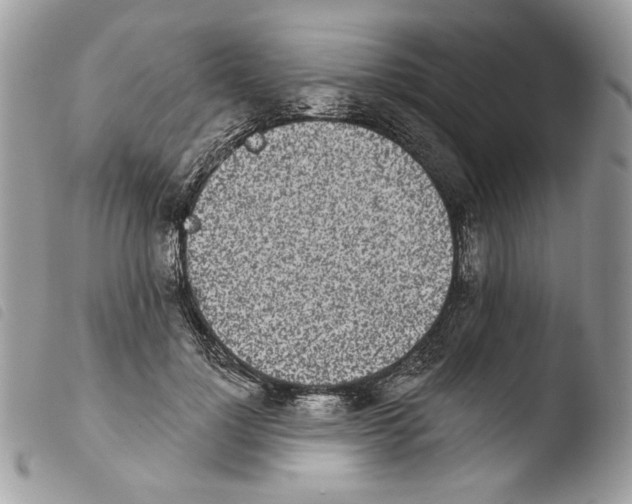 X0000103910748200810171705