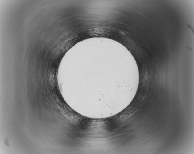 X0000103910749200810171705