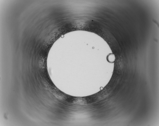 X0000103910750200810171705
