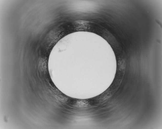 X0000103910753200810171705