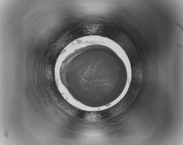 X0000103910754200810171705