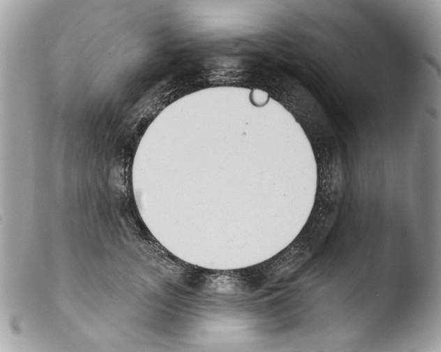 X0000103910755200810171705
