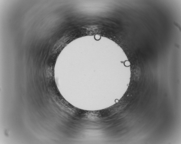 X0000103910756200810171705