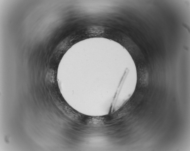 X0000103910758200810171705