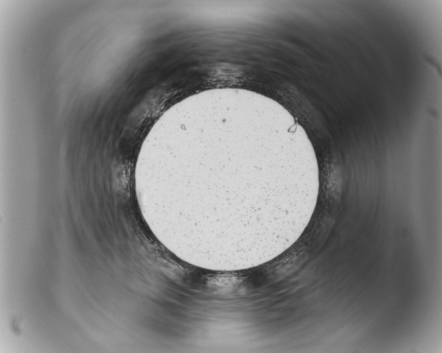 X0000103910759200810171705