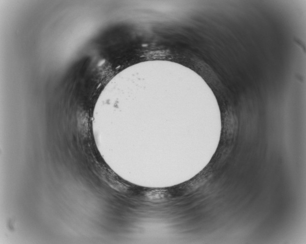 X0000103910761200810171705