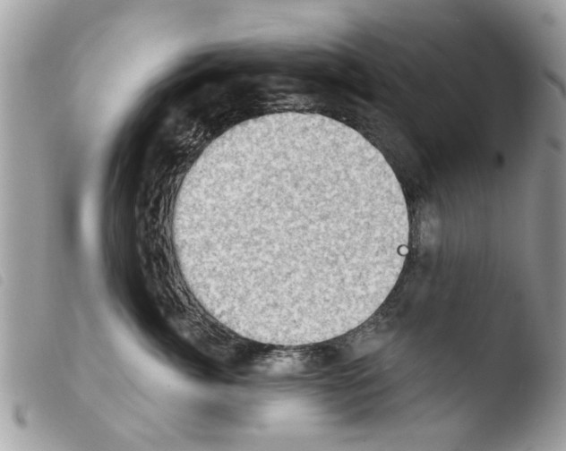 X0000103910764200810171705