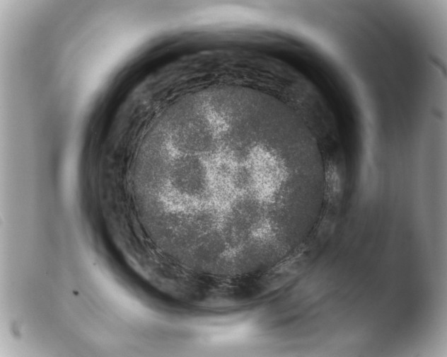 X0000103910765200810171705