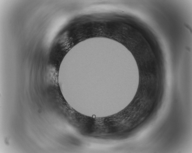 X0000103910766200810171705