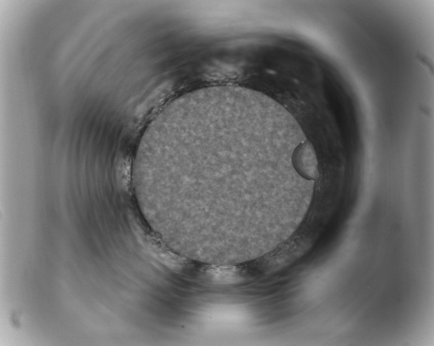 X0000103910767200810171705