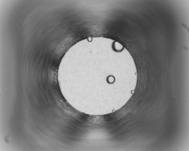 X0000103910768200810171705