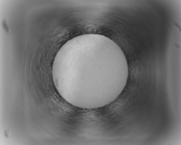 X0000103910769200810171704