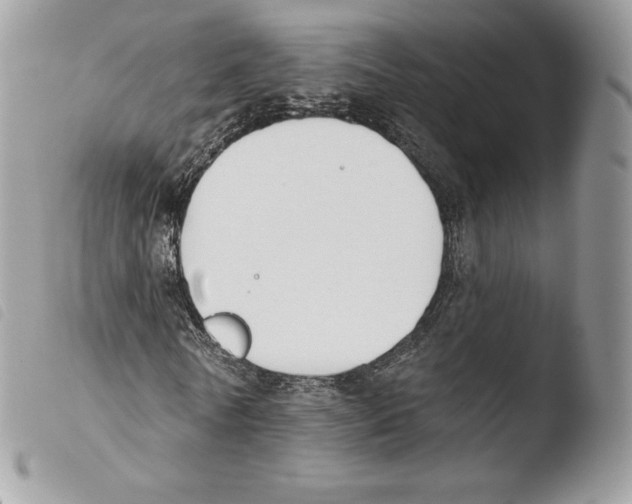 X0000103910770200810171704