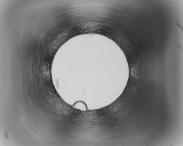 X0000103910771200810171704