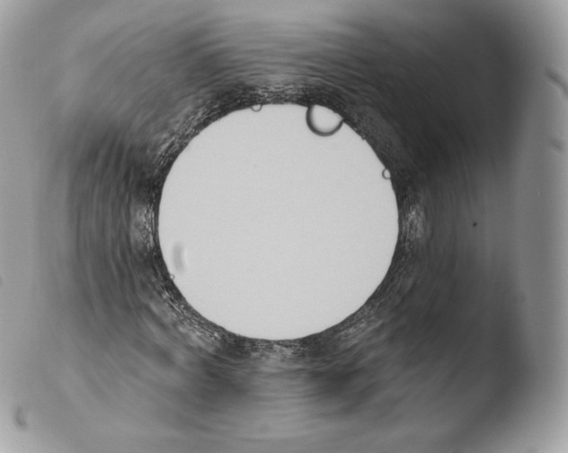 X0000103910772200810171704