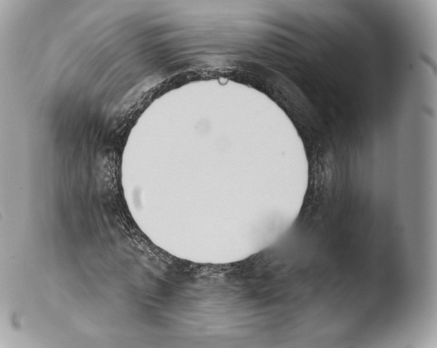 X0000103910773200810171704