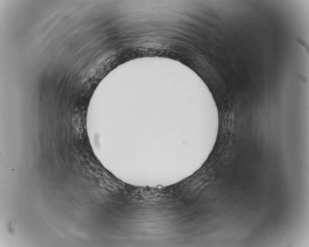 X0000103910774200810171704