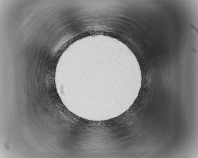 X0000103910775200810171704