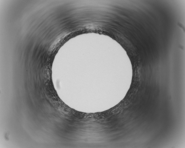 X0000103910776200810171704