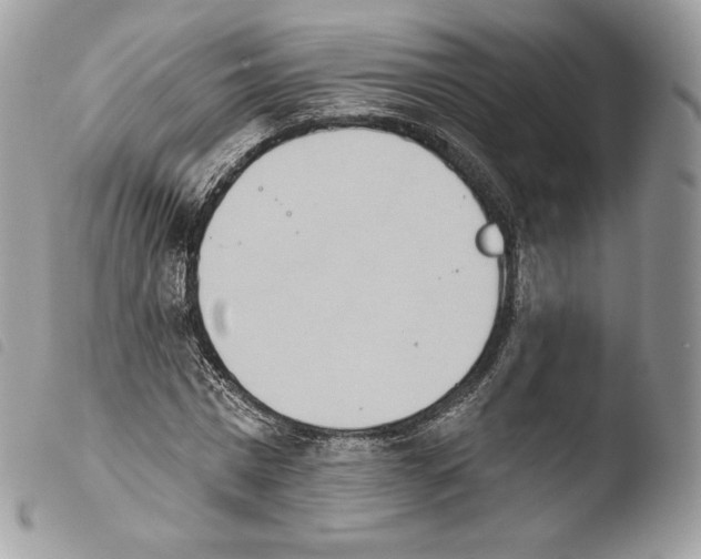X0000103910777200810171704