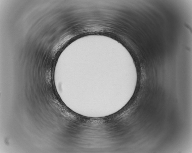 X0000103910778200810171704