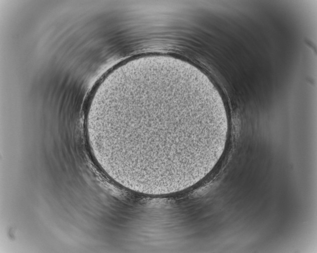 X0000103910779200810171704