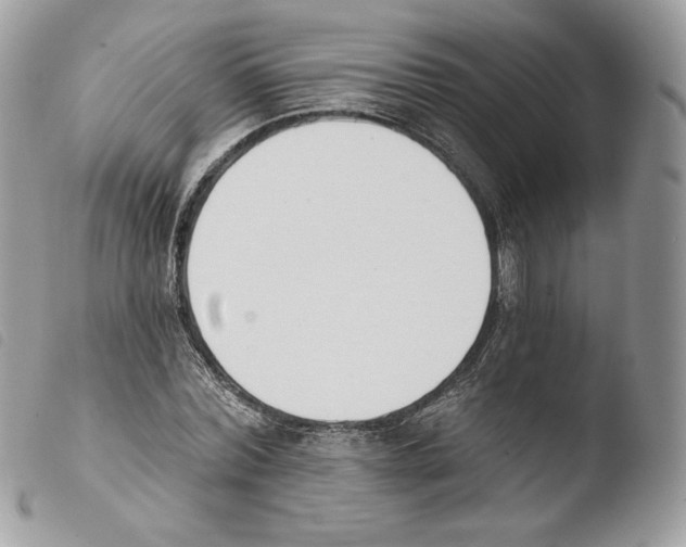 X0000103910780200810171704
