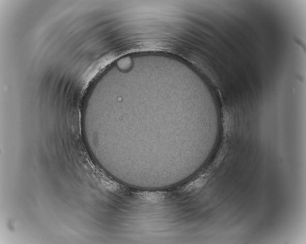 X0000103910781200810171704
