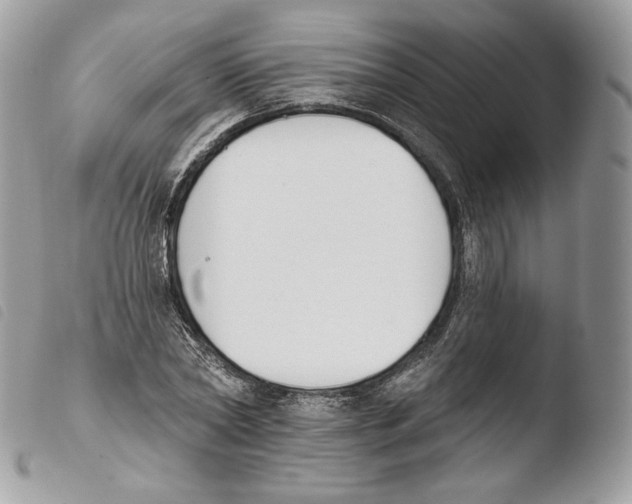 X0000103910782200810171704