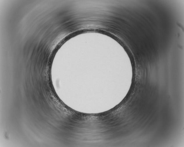 X0000103910783200810171704