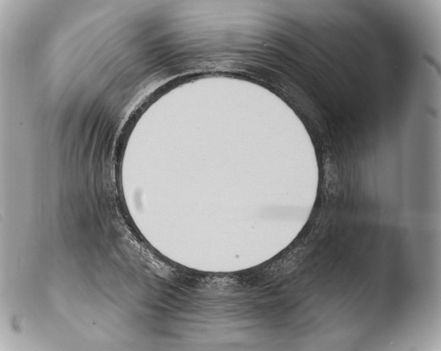 X0000103910784200810171704