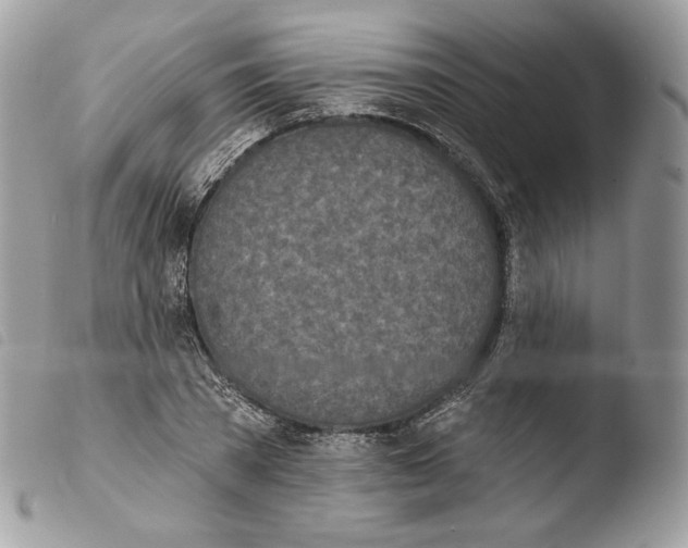 X0000103910785200810171704