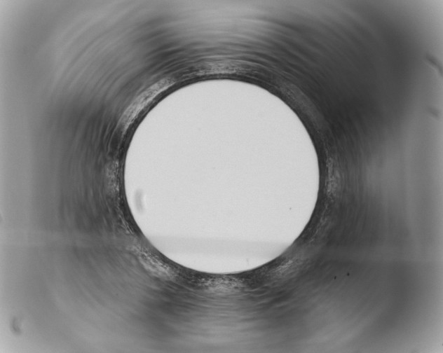 X0000103910786200810171704