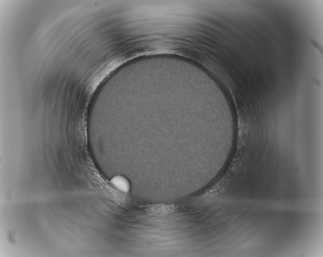 X0000103910789200810171704