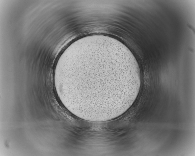 X0000103910790200810171704