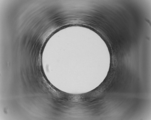 X0000103910791200810171704