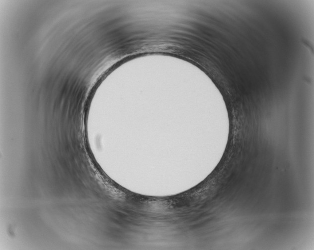 X0000103910792200810171704