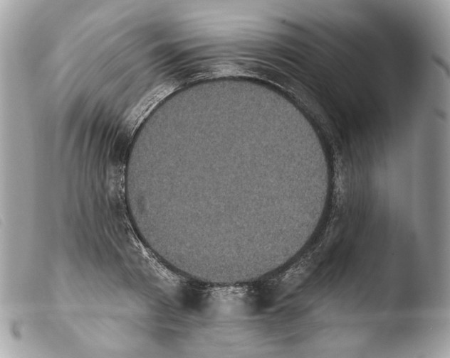 X0000103910793200810171704