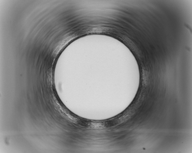 X0000103910794200810171704