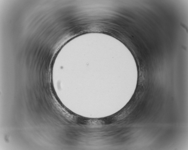 X0000103910795200810171704