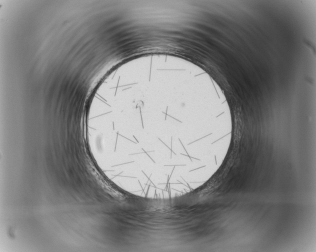 X0000103910796200810171704