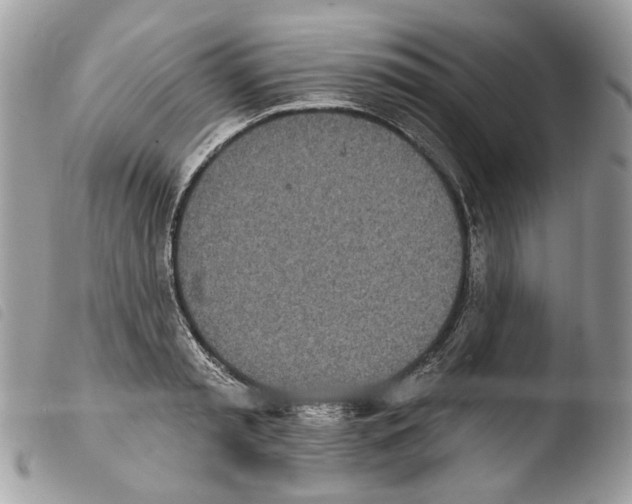 X0000103910797200810171704