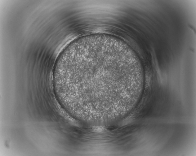 X0000103910798200810171704