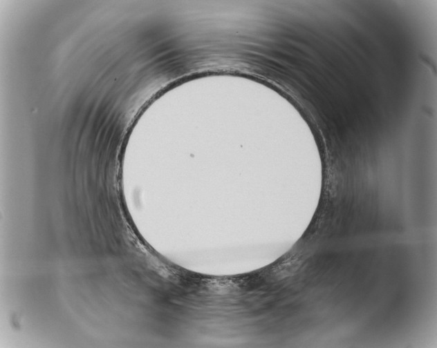 X0000103910799200810171704
