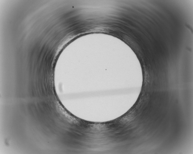 X0000103910800200810171704