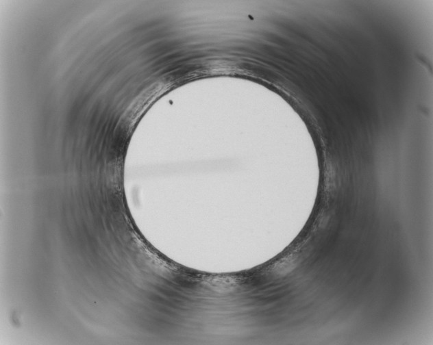 X0000103910801200810171704