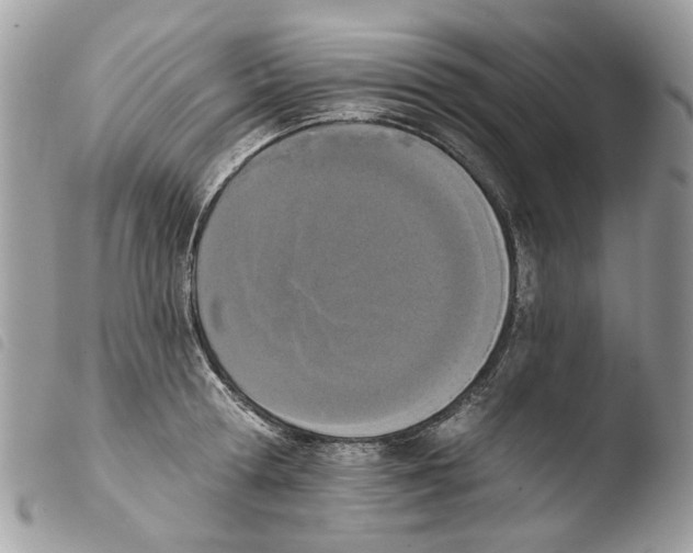 X0000103910802200810171704